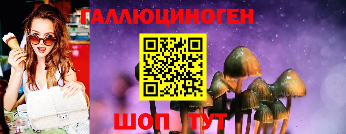 Галлюциногенные грибы MAGIC MUSHROOMS Алексин