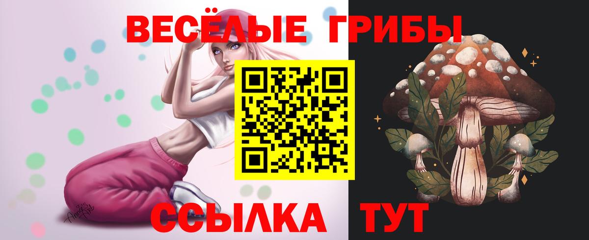 Алексин  Псилоцибиновые грибы ЛСД  Вход с VPN 